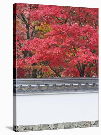 Eikando Temple, Kyoto, Japan-Rob Tilley-Stretched Canvas