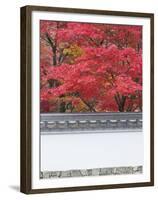 Eikando Temple, Kyoto, Japan-Rob Tilley-Framed Premium Photographic Print