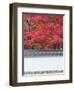 Eikando Temple, Kyoto, Japan-Rob Tilley-Framed Photographic Print