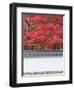 Eikando Temple, Kyoto, Japan-Rob Tilley-Framed Photographic Print