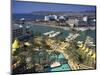 Eilat, with Modern Buildings in the Background, Israel, Middle East-Simanor Eitan-Mounted Photographic Print