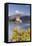 Eilean Donan Castle and Loch Duich, the Highlands, Scotland, United Kingdom, Europe-Julian Elliott-Framed Stretched Canvas