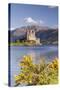 Eilean Donan Castle and Loch Duich, the Highlands, Scotland, United Kingdom, Europe-Julian Elliott-Stretched Canvas