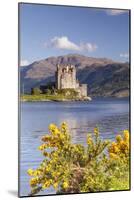 Eilean Donan Castle and Loch Duich, the Highlands, Scotland, United Kingdom, Europe-Julian Elliott-Mounted Photographic Print