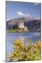 Eilean Donan Castle and Loch Duich, the Highlands, Scotland, United Kingdom, Europe-Julian Elliott-Mounted Photographic Print