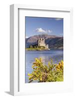 Eilean Donan Castle and Loch Duich, the Highlands, Scotland, United Kingdom, Europe-Julian Elliott-Framed Photographic Print