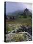 Eilean Donan Castle, Dornie, Highland Region, Scotland, United Kingdom, Europe-Patrick Dieudonne-Stretched Canvas