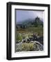 Eilean Donan Castle, Dornie, Highland Region, Scotland, United Kingdom, Europe-Patrick Dieudonne-Framed Photographic Print