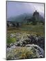 Eilean Donan Castle, Dornie, Highland Region, Scotland, United Kingdom, Europe-Patrick Dieudonne-Mounted Photographic Print