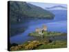 Eilean Donan Castle, Highlands, Scotland, United Kingdom, Europe-Groenendijk Peter-Stretched Canvas