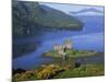 Eilean Donan Castle, Highlands, Scotland, United Kingdom, Europe-Groenendijk Peter-Mounted Photographic Print