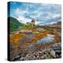 Eilean Donan Castle-Lars Van de Goor-Stretched Canvas