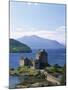 Eilean Donnan Castle, Loch Duich, Highlands, Scotland, United Kingdom, Europe-Lee Frost-Mounted Photographic Print