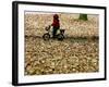 Ein Kind Radelt Am Dienstag, 8.November 2005, Zwischen Dem Herbstlaub-null-Framed Photographic Print