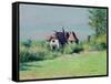 Eine Villa in Trouvile. Une villa a Trouville-Gustave Caillebotte-Framed Stretched Canvas
