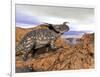 Einiosaurus Dinosaur on a Rock Observing an Argentinosaurus-null-Framed Art Print