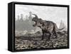 Einiosaurus Dinosaur Roaring in Nature-null-Framed Stretched Canvas