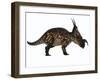 Einiosaurus Dinosaur, Side View-Stocktrek Images-Framed Art Print