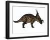 Einiosaurus Dinosaur, Side View-Stocktrek Images-Framed Art Print