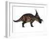 Einiosaurus Dinosaur, Side View-Stocktrek Images-Framed Art Print