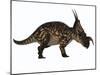 Einiosaurus Dinosaur, Side View-Stocktrek Images-Mounted Art Print