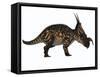 Einiosaurus Dinosaur, Side View-Stocktrek Images-Framed Stretched Canvas