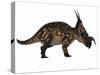 Einiosaurus Dinosaur, Side View-Stocktrek Images-Stretched Canvas