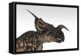 Einiosaurus Dinosaur, White Background-null-Framed Stretched Canvas