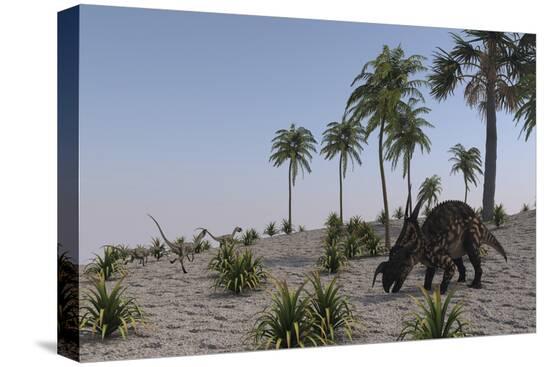 Stretched Canvas Print, , large
