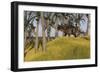 Einiosaurus in a Grassy Field-null-Framed Art Print