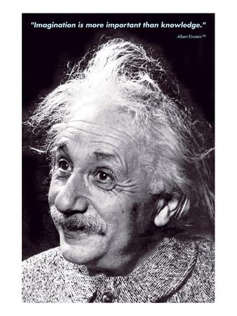 Albert Einstein~Photo~ Poster 16" x  20" 