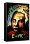 Einstein Signed-Rock Demarco-Framed Stretched Canvas