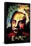 Einstein Signed-Rock Demarco-Framed Stretched Canvas