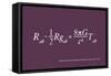 Einstein Theory of Relativity-Michael Tompsett-Framed Stretched Canvas