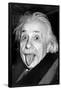Einstein - Tongue-null-Framed Poster