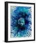 Einstein Watercolor 2-Anna Malkin-Framed Art Print