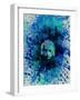 Einstein Watercolor 2-Anna Malkin-Framed Art Print