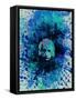 Einstein Watercolor 2-Anna Malkin-Framed Stretched Canvas