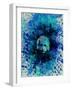 Einstein Watercolor 2-Anna Malkin-Framed Art Print