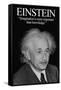 Einstein-Wilbur Pierce-Framed Stretched Canvas