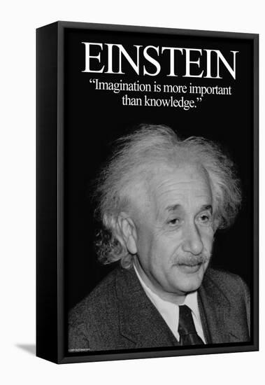 Einstein-Wilbur Pierce-Framed Stretched Canvas