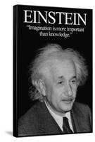 Einstein-Wilbur Pierce-Framed Stretched Canvas