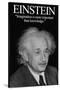 Einstein-Wilbur Pierce-Stretched Canvas