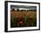 Einu-Tim Kahane-Framed Photographic Print