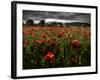 Einu-Tim Kahane-Framed Photographic Print