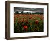 Einu-Tim Kahane-Framed Photographic Print