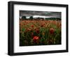 Einu-Tim Kahane-Framed Photographic Print