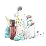 Watercolor Glass Bottles, Sprouts of Plants, Fern Leaf, Berries and Gem Stones-Eisfrei-Art Print