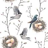 Watercolor Seamless Pattern with Nest, Birds and Tree Twigs. Vector Hand Drawn Spring Background. V-Eisfrei-Art Print