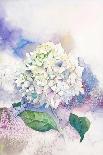 Watercolor Bouquet of Succulents and Gem Stones-Eisfrei-Art Print